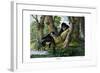 Mandrill, 1860-null-Framed Giclee Print