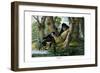 Mandrill, 1860-null-Framed Giclee Print