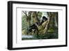 Mandrill, 1860-null-Framed Giclee Print