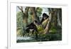 Mandrill, 1860-null-Framed Giclee Print