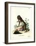 Mandrill-null-Framed Giclee Print