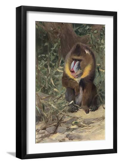 Art Print, , large
