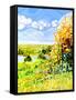 Canvas Black