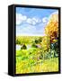 Canvas Black