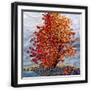 Black Frame