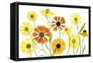 Framed Canvas
