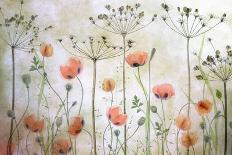 Heavenly Cosmos-Mandy Disher-Photographic Print