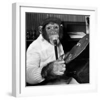 Mandy the Chimpanzee-null-Framed Photographic Print