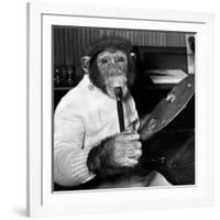 Mandy the Chimpanzee-null-Framed Photographic Print