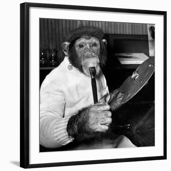 Mandy the Chimpanzee-null-Framed Photographic Print