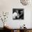 Mandy the Chimpanzee-null-Mounted Photographic Print displayed on a wall