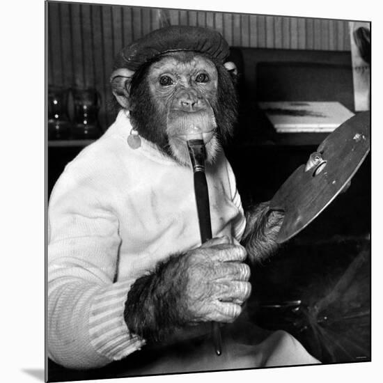 Mandy the Chimpanzee-null-Mounted Photographic Print