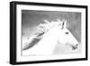 Mane in the Wind-Sally Linden-Framed Art Print