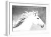 Mane in the Wind-Sally Linden-Framed Art Print