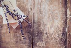 Bouquet of Roses in Metal Pot-manera-Photographic Print