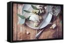 Framed Canvas