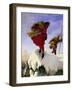 Manfred on the Jungfrau, 1840-61-Ford Madox Brown-Framed Giclee Print