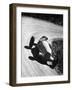 Manfred Von Brauchitsch Driving Mercedes-Benz W25 Grand Prix Car, 1934-null-Framed Photographic Print