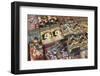 Manga (Japanese Comics), Tokyo, Japan, Asia-Stuart Black-Framed Photographic Print