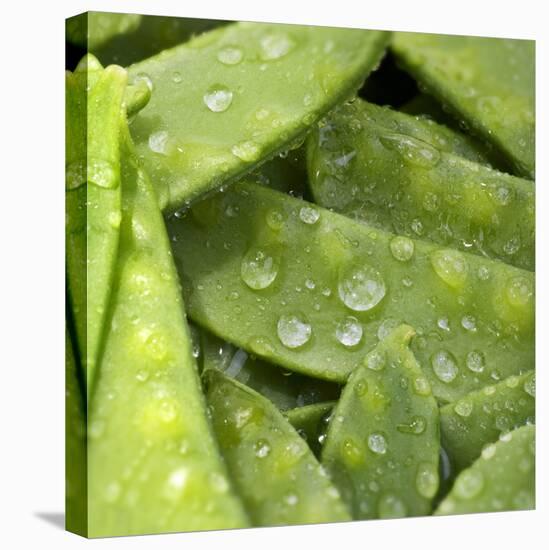 Mangetout with Drops of Water-Chris Schäfer-Stretched Canvas