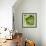 Mangetout with Drops of Water-Chris Schäfer-Framed Photographic Print displayed on a wall