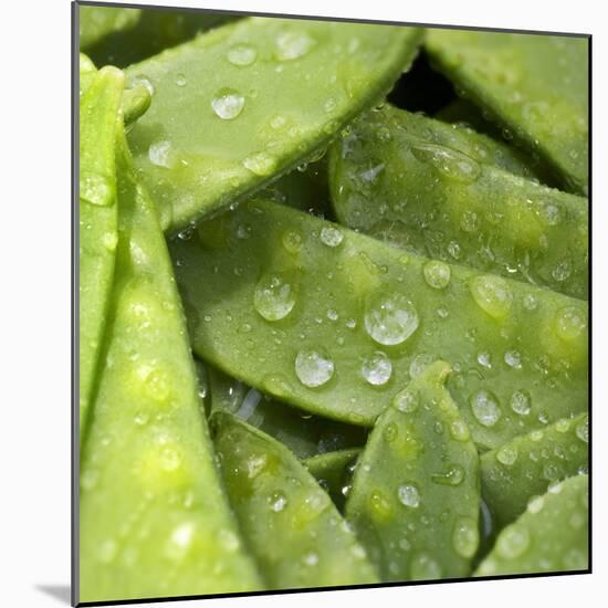 Mangetout with Drops of Water-Chris Schäfer-Mounted Photographic Print