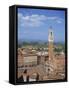 Mangia Tower and Buildings around the Piazza Del Campo in Siena, Tuscany, Italy-Lightfoot Jeremy-Framed Stretched Canvas