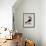 Mangiapepe Toucan (Tucana Piperivora)-null-Framed Giclee Print displayed on a wall