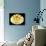 Mango Cake-highviews-Photographic Print displayed on a wall