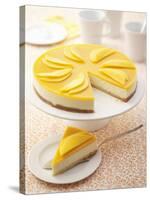 Mango Cheesecake-Marc O^ Finley-Stretched Canvas