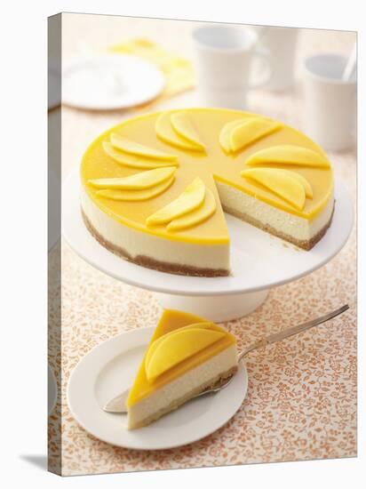 Mango Cheesecake-Marc O^ Finley-Stretched Canvas