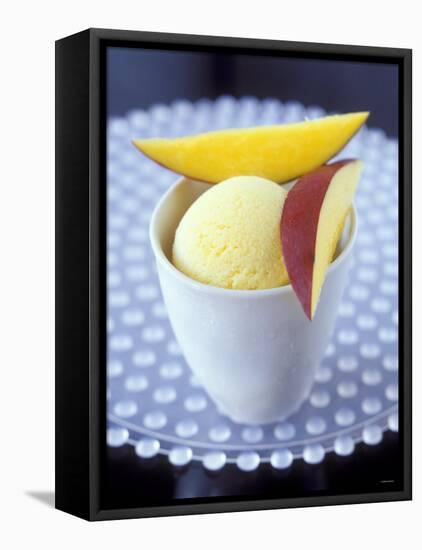 Mango & Lemon Ice Cream in a Tub-Jean Cazals-Framed Stretched Canvas