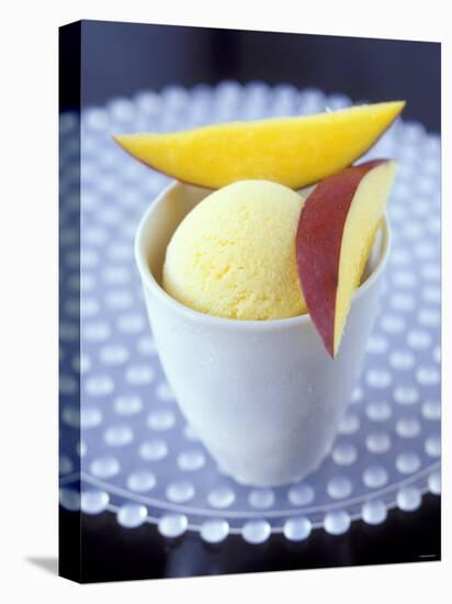Mango & Lemon Ice Cream in a Tub-Jean Cazals-Stretched Canvas