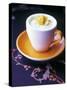 Mango Sorbet in Frozen Cup-Maja Smend-Stretched Canvas