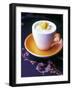 Mango Sorbet in Frozen Cup-Maja Smend-Framed Photographic Print