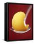 Mango Sorbet on a Spoon-Marc O^ Finley-Framed Stretched Canvas