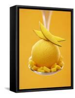 Mango Sorbet with Fresh Fruit on a Spoon-Marc O^ Finley-Framed Stretched Canvas