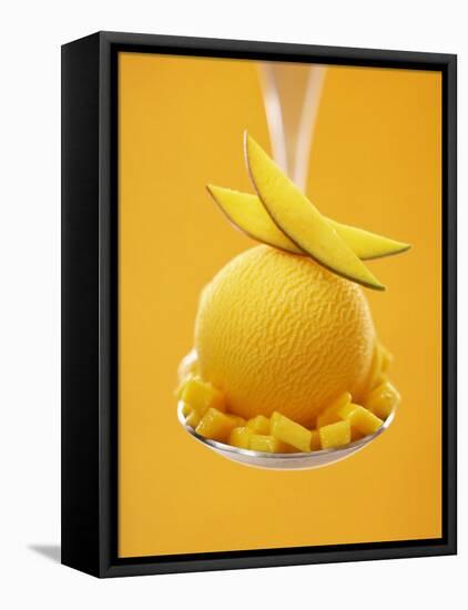 Mango Sorbet with Fresh Fruit on a Spoon-Marc O^ Finley-Framed Stretched Canvas