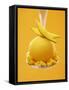 Mango Sorbet with Fresh Fruit on a Spoon-Marc O^ Finley-Framed Stretched Canvas