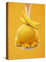 Mango Sorbet with Fresh Fruit on a Spoon-Marc O^ Finley-Stretched Canvas