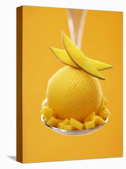 Mango Sorbet with Fresh Fruit on a Spoon-Marc O^ Finley-Stretched Canvas