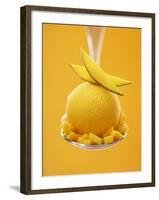 Mango Sorbet with Fresh Fruit on a Spoon-Marc O^ Finley-Framed Photographic Print