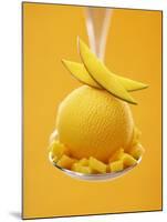 Mango Sorbet with Fresh Fruit on a Spoon-Marc O^ Finley-Mounted Photographic Print