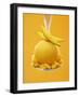 Mango Sorbet with Fresh Fruit on a Spoon-Marc O^ Finley-Framed Photographic Print