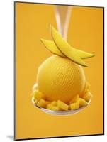 Mango Sorbet with Fresh Fruit on a Spoon-Marc O^ Finley-Mounted Photographic Print