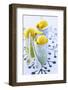 Mango Sorbet-Eric Fenot-Framed Photographic Print