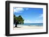 Mango Tree on the Beach on a Sunny Day, Chintheche Beach, Lake Malawi, Africa-Yolanda387-Framed Photographic Print