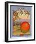 Mango-null-Framed Art Print