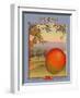 Mango-null-Framed Art Print