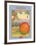 Mango-Kerne Erickson-Framed Art Print